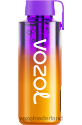 VOZOL vape Nederland - VOZOL NEON 10000 gemixte bessen F62N235