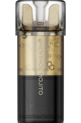 VOZOL Nederland - VOZOL SWITCH pro menthol-mojito F62N202