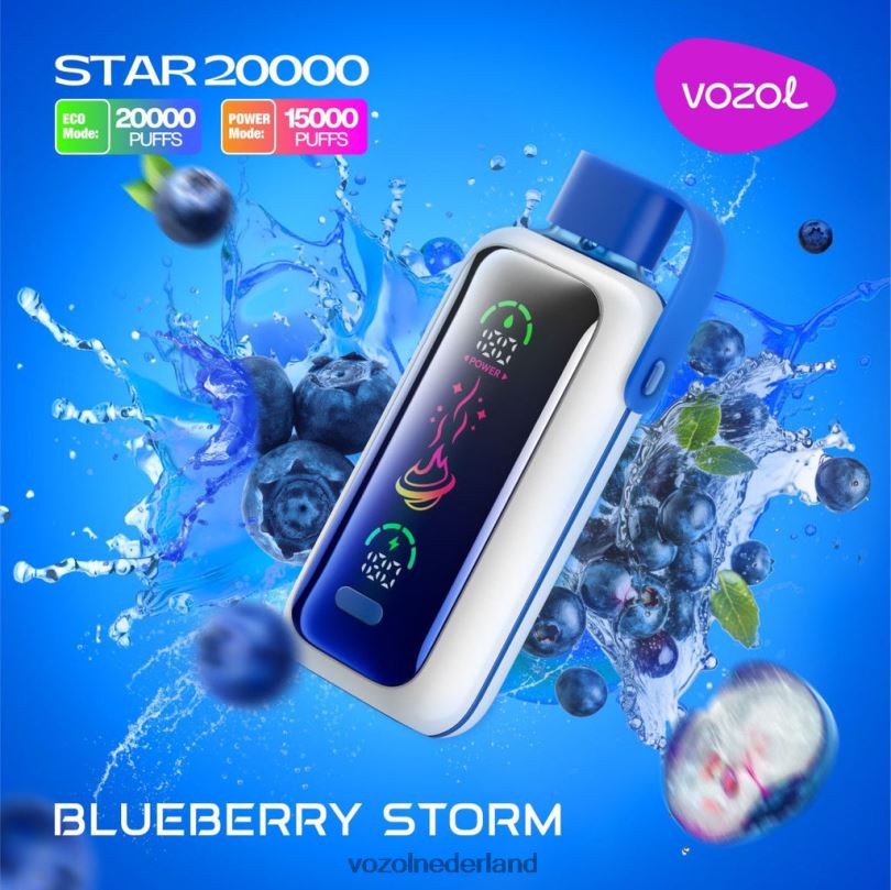 Vozol Kopen - VOZOL STAR 20000 bosbessen storm FJJ805