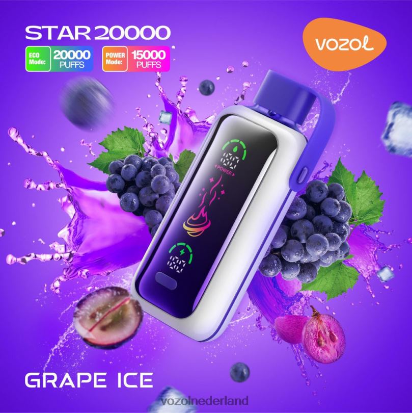 Vozol Smaken - VOZOL STAR 20000 druiven ijs FJJ809