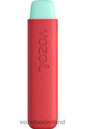 VOZOL review - VOZOL STAR 550 appel perzik F62N138