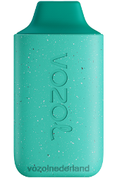 VOZOL nieuwe smaken - VOZOL STAR 6000 frisse munt F62N110