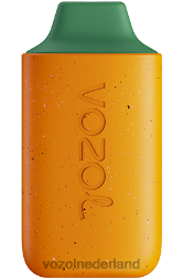 VOZOL vape Nederland - VOZOL STAR 6000 Kiwi Guave Passievrucht F62N115