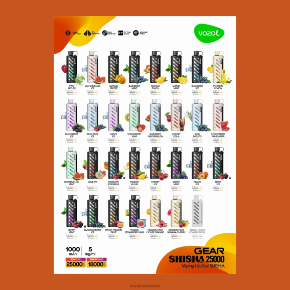 VOZOL uitrusting shisha 25000 D6P8F1 - Vozol Italia