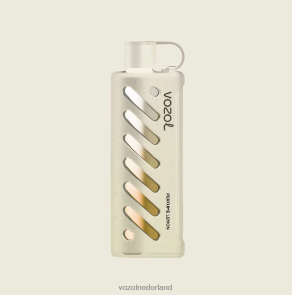VOZOL uitrusting shisha 25000 D6P8F1 - Vozol Italia