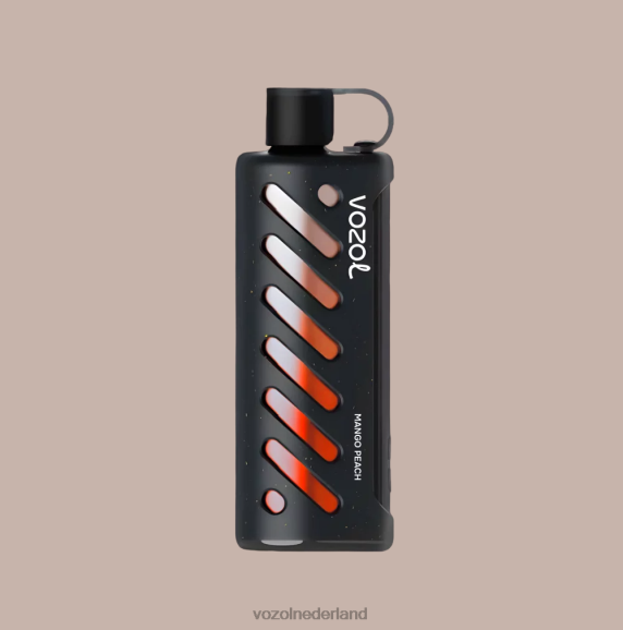 VOZOL uitrusting shisha 25000 D6P8F1 - Vozol Italia