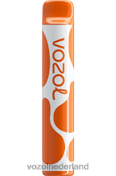 VOZOL vape kopen - VOZOL JOYGO 600 mango-ijs F62N386